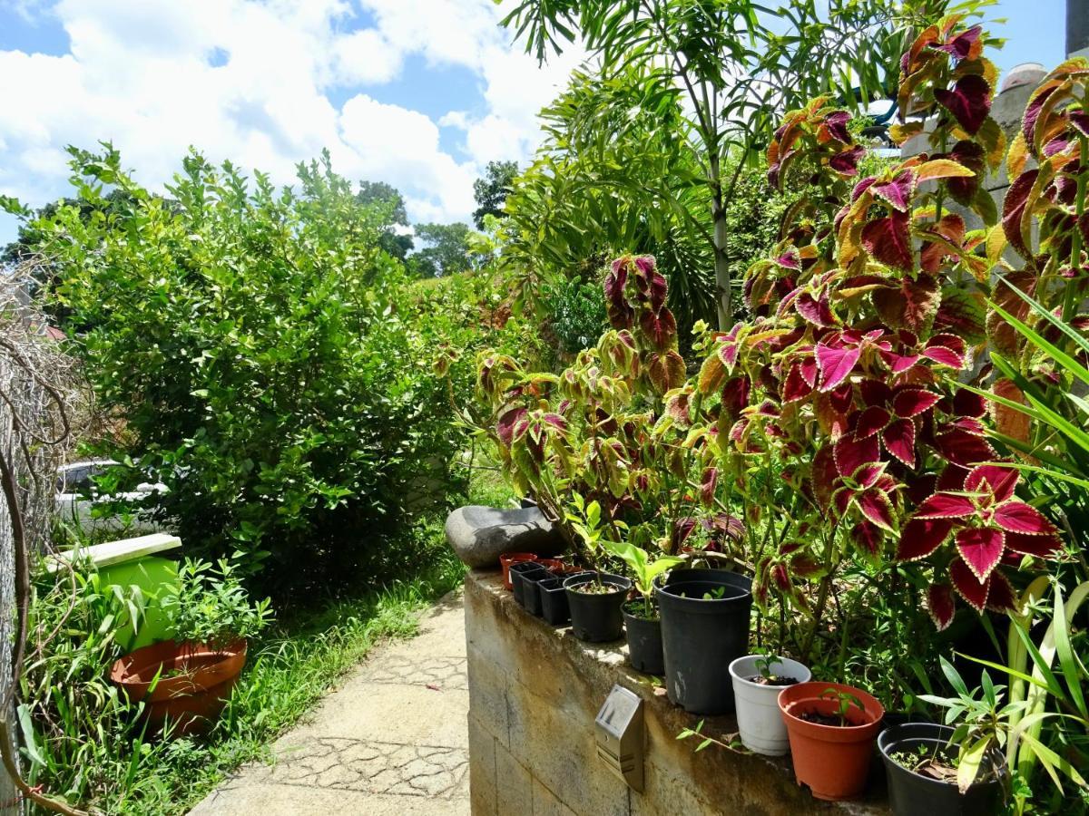 Bungalow Dourou Десе Екстер'єр фото